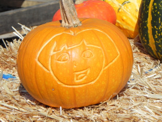 Dora, Nipomo Pumpkin Patch best carving idea